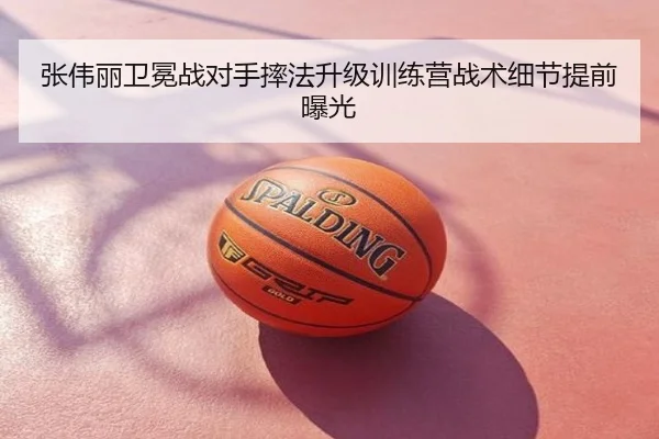 张伟丽卫冕战对手摔法升级训练营战术细节提前曝光